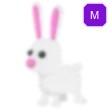 Bunny Adopt Me AM