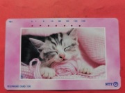 JAPONIA    - Karta telefoniczna  /  KOTY