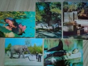 Pocztówki : ZOO Warszawa 1969 r 5 sztuk