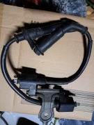Cewka Honda XL600 transalp