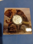 Big five 3 słoń 2024 1 oz