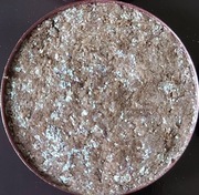 Whisper - The Pastel Roses - cień perłowy (swatchowany)