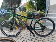 Rower Storm Racer 26