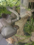 Zacisk hamulcowy Citroen Xantia