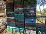 Skrzynka pojemnik na owoce 10kg  magazynowy  czeszka