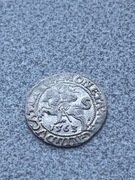 Półgrosz 1563 r. Zygmunt II August , Wilno LI/LITV ładny