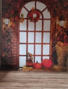 Tło fotograficzne 250*600cm