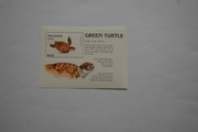 Malediwy Sw 2435** żółw jadalny (zielony) /ms/