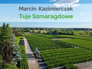 Tuja szmaragd 95 -115cm szmaragdowe szmaragdowa 