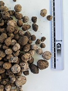 Keramzyt Ogrodowy Ogrodniczy Drenaż Doniczek Roślin Gruby 8-20mm 25L