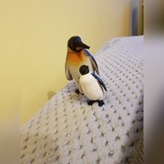 Dwa pingwinki 10 cm i 6,5 cm 