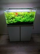 Akwarium OptiWhite 80x35x40 - 112l kompletne akwarium z pełnym wyposażeniem