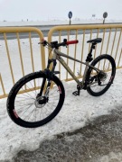 Rower MTB QARK Rabbit 29” Gold