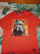 Koszula marki Pitbull