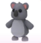 Koala - Adopt Me Roblox