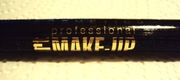 Eveline Eyeliner Pen Professional Art Make-Up Ultra Lasting Formula 24H