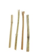 Ozdoba naturalna gałązka do formikarium mrówki 