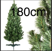Choinka nowa 180cm 
