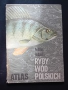 Andrzej Rudnicki. Atlas - ryby wód polskich. WSiP, 1989 r. Wydanie V. 