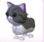 Persian Cat - Adopt Me Roblox