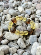 Bransoletka Bursztyn Bałtycki 14,81g /Srebro Pozłacane /Miodowy Koniak