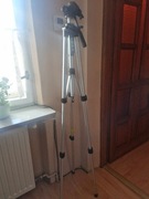 STATYW BILORA ACTION LINE TOP 261