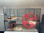 szklana klatka dla chomika + GRATIS