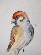 AKWARELA - Big Bird 003- ORYGINAŁ RĘCZNIE MALOWANY