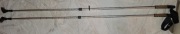 Kijki do nordic walking srebrne