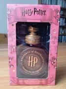 Kolekcjonerski atrament Harry Potter Ferris Wheel 38 ml Kamień Filozoficzny