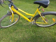 Rower Panther Active MTB Shimano 21 biegów