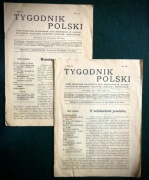 Tygodnik Polski 2 numery: Rok 2 (4 10) 1913  "z zagadnień życia narodowego"