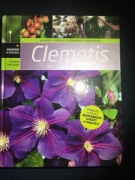 Clematis i inne pnącza ogrodowe 