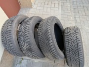 Opony zimowe 205/55/16 Ceat Winter driver Nokian WR D4 4szt 