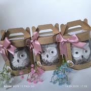 Kominek sowa dzień nauczyciela kominek sojowy