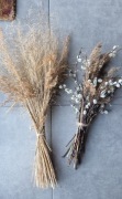 Dwa wiejskie bukiety bukiet z traw polnych oraz bazi kotki