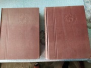 Webster's Third New International Dictionary 