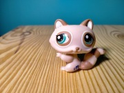 Littlest Pet Shop Szop pracz #1348