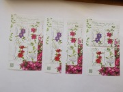 Bl335 + 4981-4  ( 2x -  ) +bl 335 Polskie odmiany powojników **