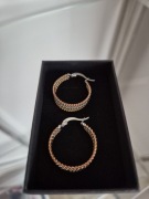 Kolczyki Steel Evolution