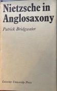 Nietzsche in Anglosaxony