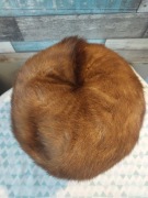 Czapka norki vintage