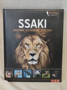 Ssaki anatomia, zachowanie, siedliska