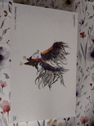 Tablet graficzny HUION Inspiroy H1060P + rękawiczka