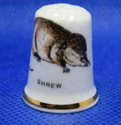 Naparstek Kolekcjonerski Porcelanowy Zwierzę Ryjówka 