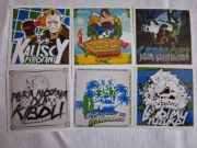 Vlepki KKS Kalisz #9