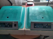 Inkubator Dino sprzedam 