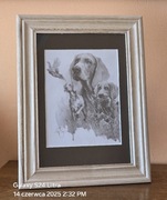 Grafika myśliwska Pies myśliwski Polowanie na kaczki pióro. Wyżeł weimarski