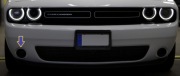 DODGE CHALLENGER 2015-... - ramka halogenu lewa (strona pasażera)