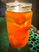 Kombucha. SCOBY zestaw startowy, Pan Ferment.